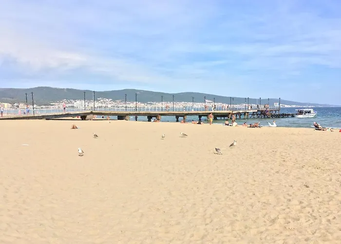 Summer Breeze 515 No Romania 公寓 *